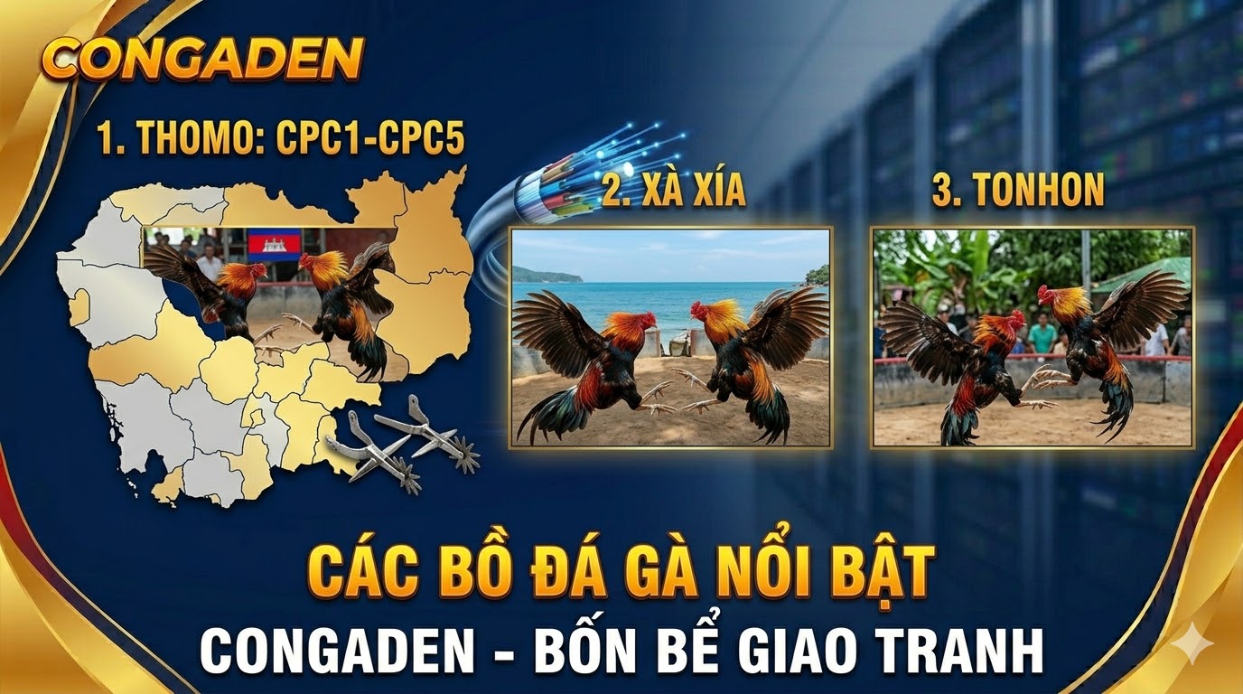 đá gà trực tiếp - congaden