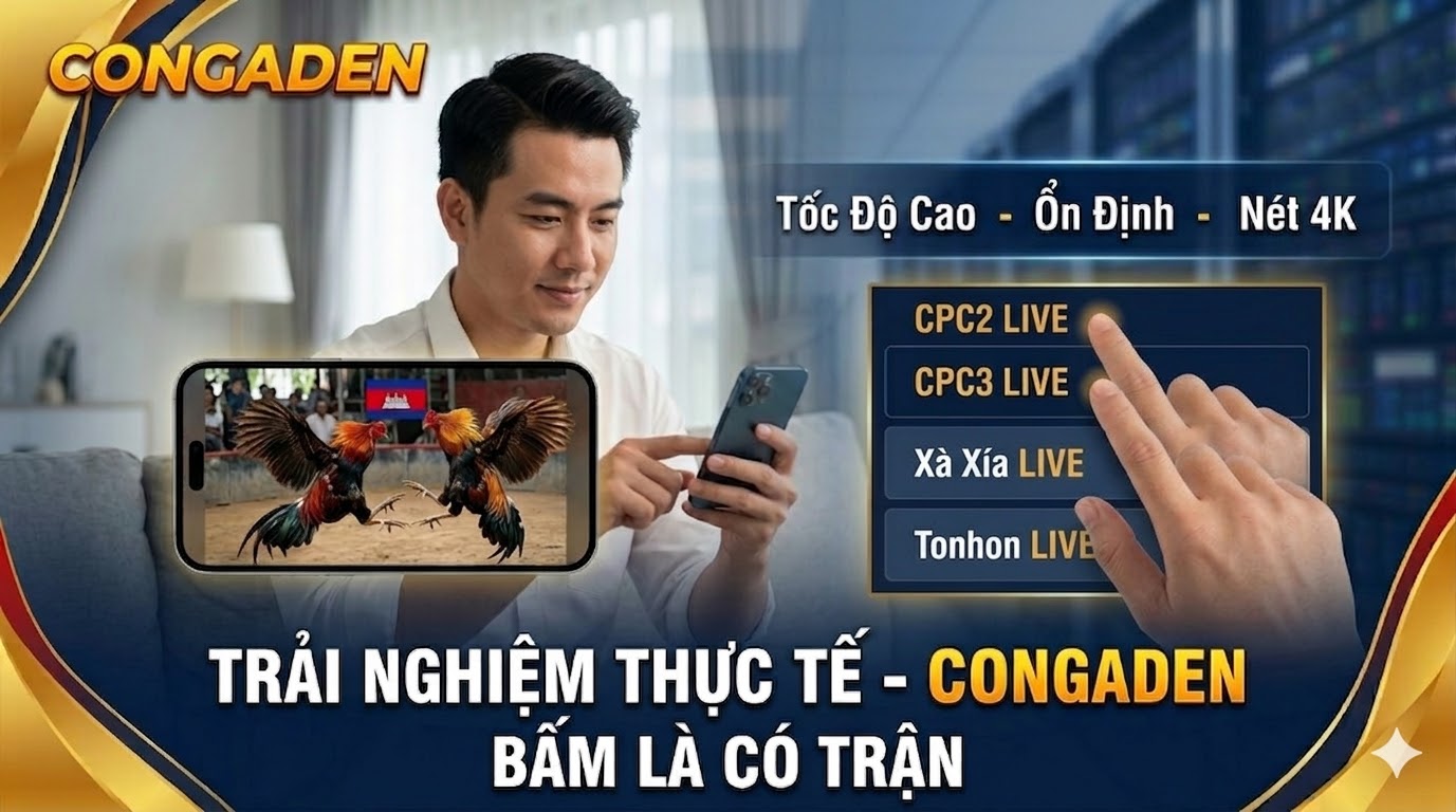 đá gà trực tiếp - congaden