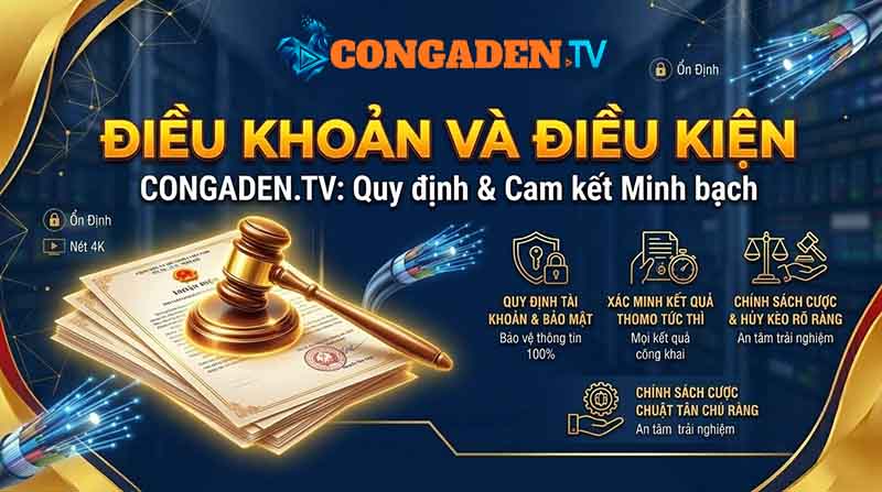 điều khoản và điều kiện